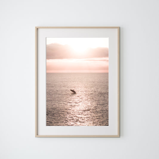 Sunrise Breach
