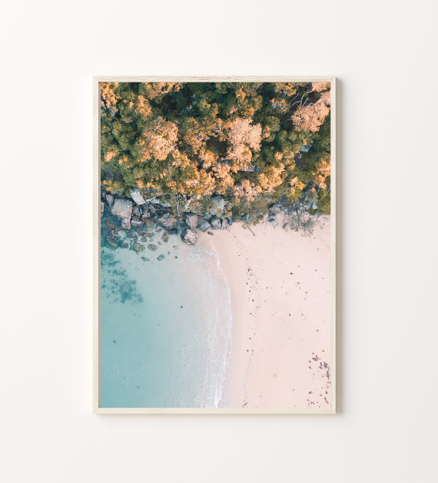 Shelly Beach